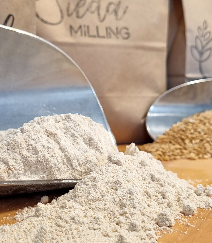 Stoneground flour and whole grain wheat on a baking surface, illustrating different stoneground flour types for home baking